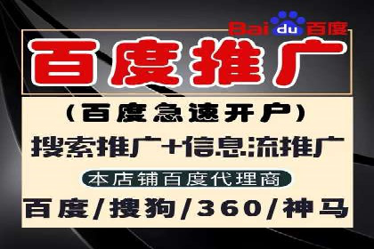 SEM推广实战：案例分析及效果评估